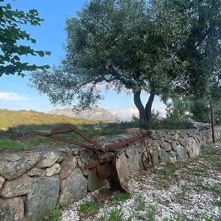 Matta E Sole