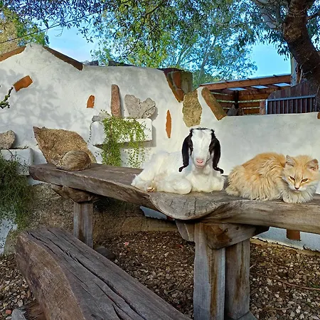 Matta E Sole Lantgård