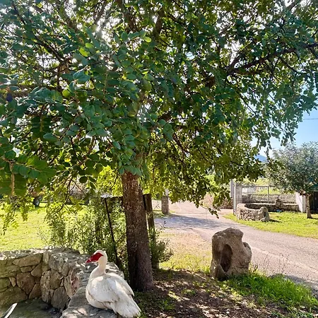 Matta E Sole Vakantieboerderij *