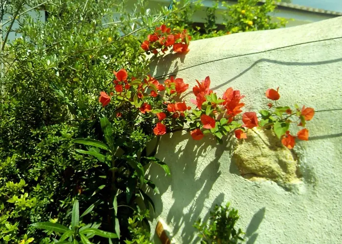 Matta E Sole Alloggio per agriturismo *