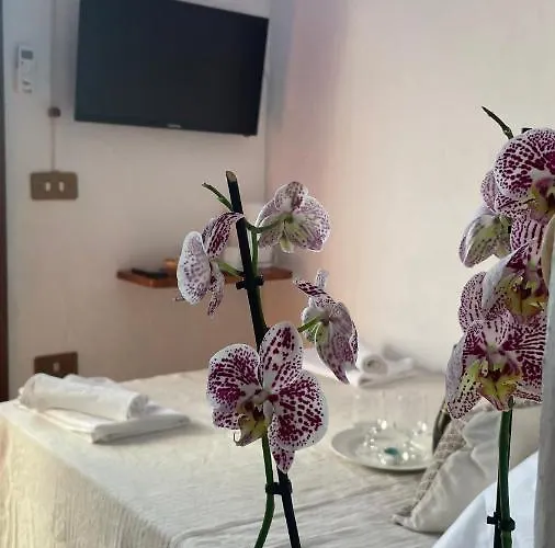 Matta E Sole Alloggio per agriturismo *