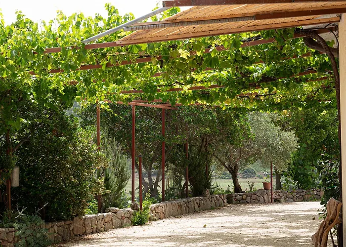 Matta E Sole Alloggio per agriturismo Loculi