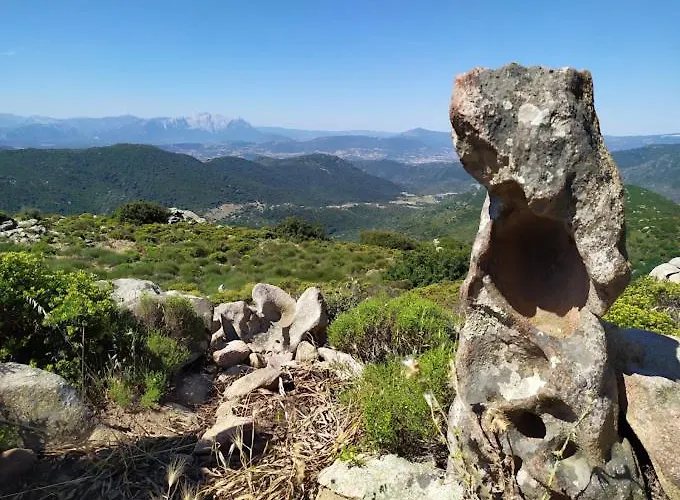 Matta E Sole Alloggio per agriturismo Loculi