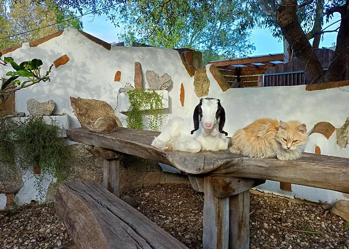 Matta E Sole Alloggio per agriturismo