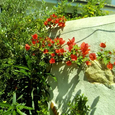 Matta E Sole Farm stay *