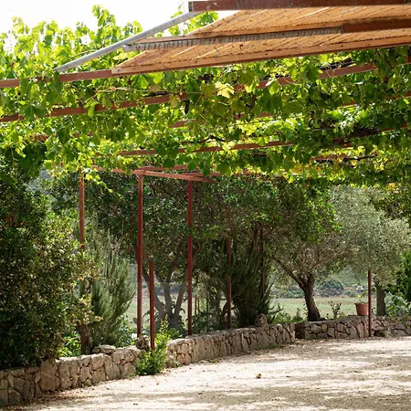 Matta E Sole Farm stay Loculi